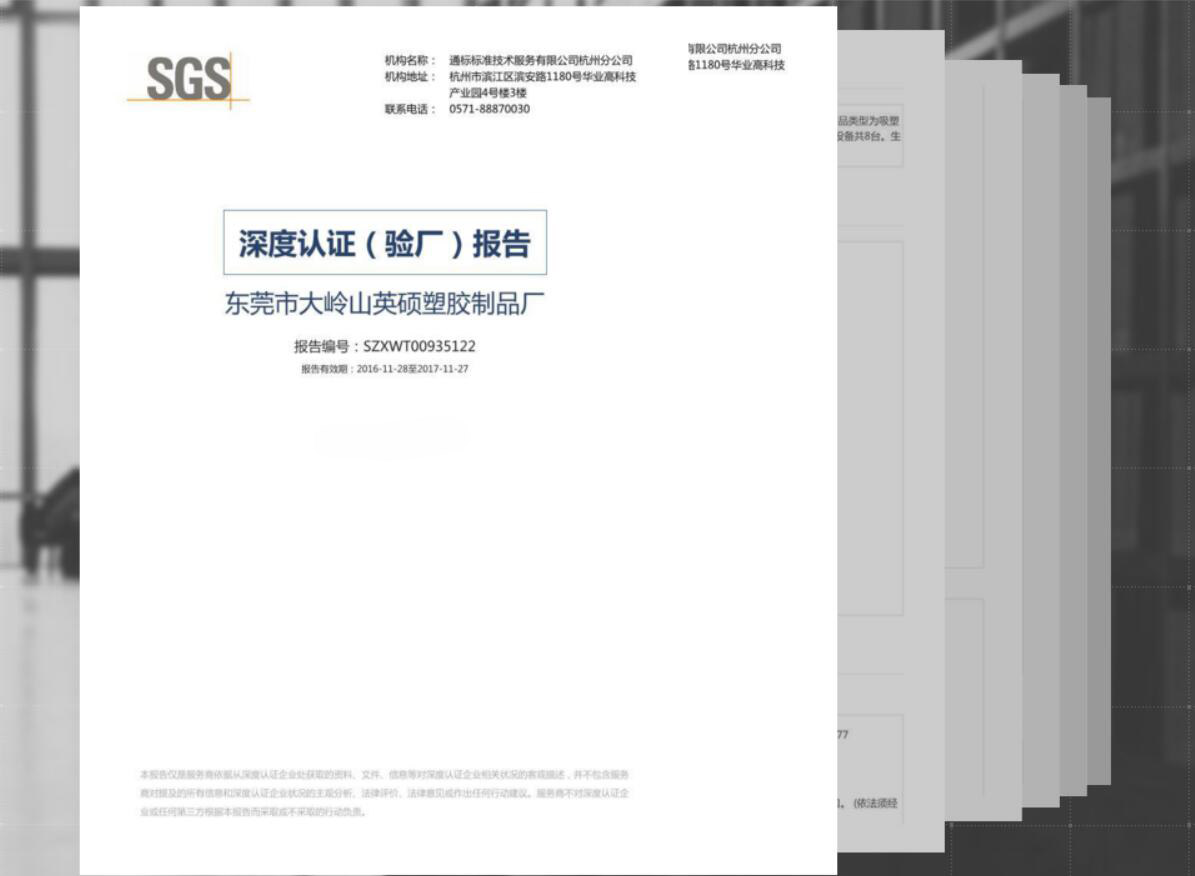 英硕包装SGS深度验厂报告