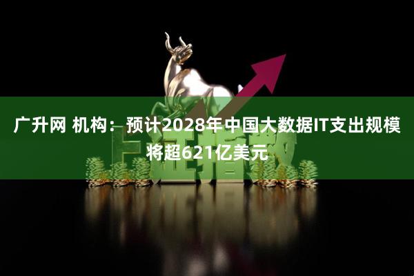 广升网 机构：预计2028年中国大数据IT支出规模将超621亿美元