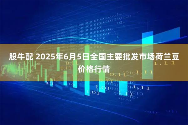 股牛配 2025年6月5日全国主要批发市场荷兰豆价格行情