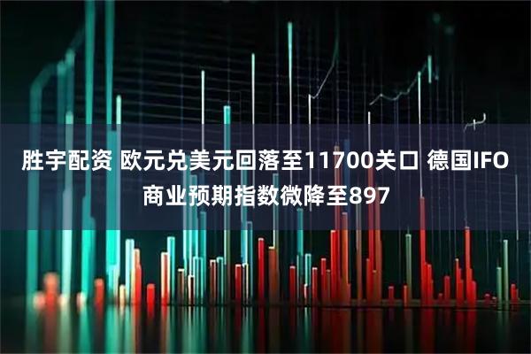 胜宇配资 欧元兑美元回落至11700关口 德国IFO商业预期指数微降至897