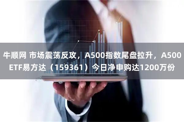 牛顺网 市场震荡反攻，A500指数尾盘拉升，A500ETF易方达（159361）今日净申购达1200万份